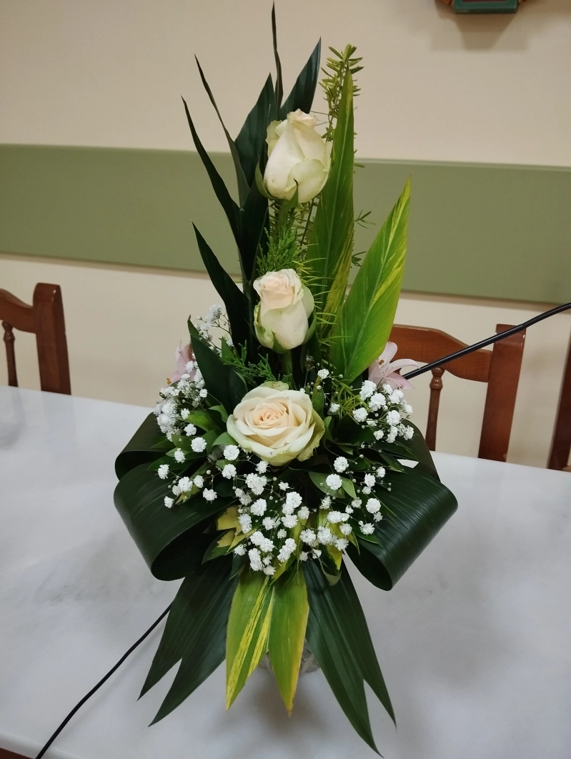 ¡¡De nuevo en casa!!