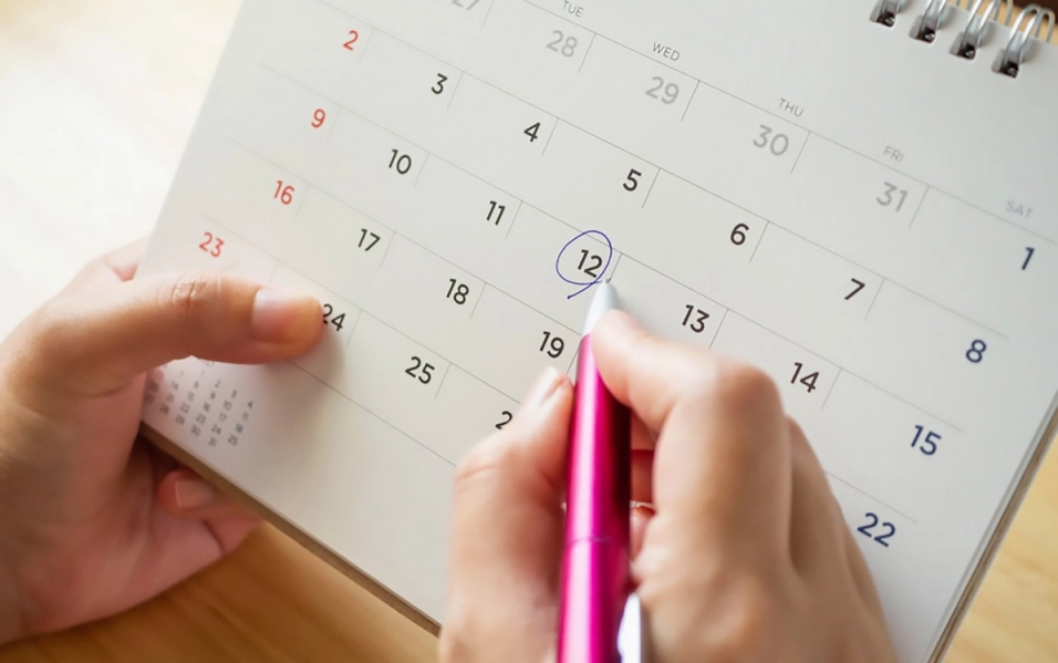 Febrero, con muchos proyectos a la vista