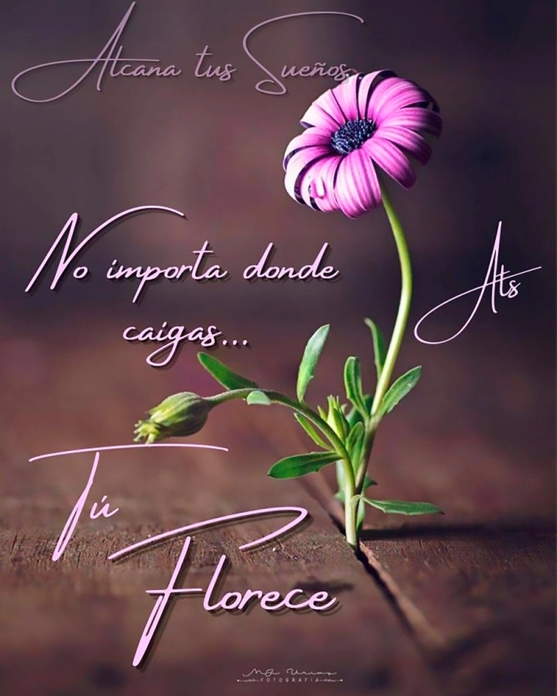 Hermanitas
