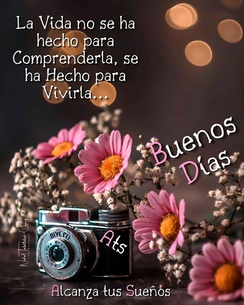 Hermanitas